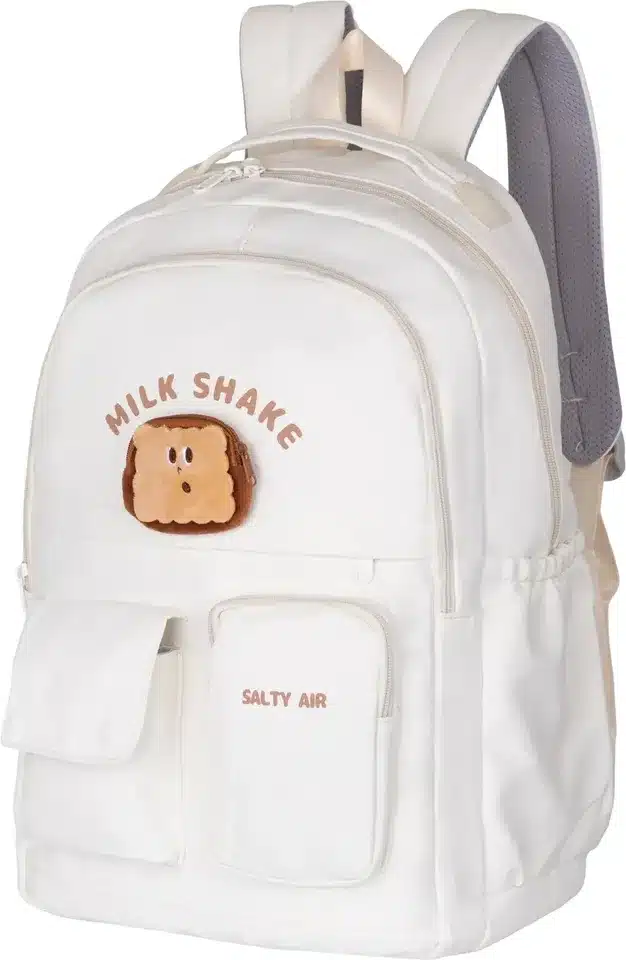 Laptop Backpack Fashionable Backpack
